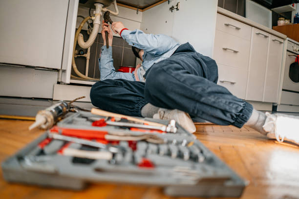  Gages Lake, IL Plumbing Pros