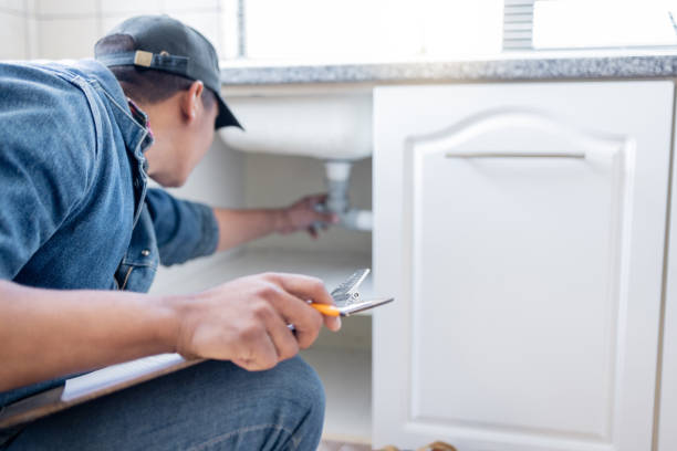 Best Plumbing Services Near Me  in Gages Lake, IL