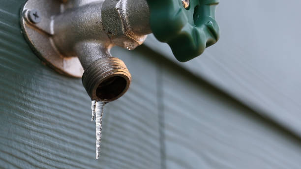 Best Commercial Plumbing Services  in Gages Lake, IL