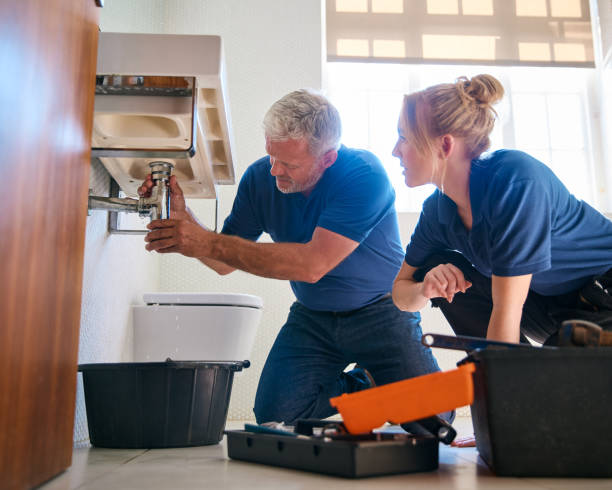 Best Emergency Plumbing Repair  in Gages Lake, IL